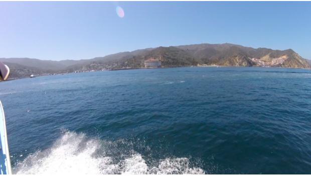 Catalina Express Ferry View